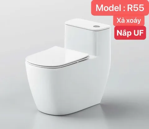 Bồn cầu vệ sinh trứng TB R55