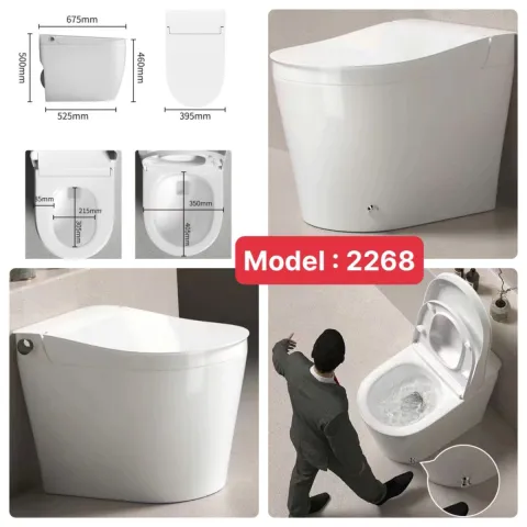 Bồn cầu vệ sinh  xả đá chânTB -R2268