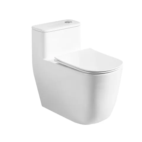 Bồn cầu vệ sinh nhà tắm T-B055