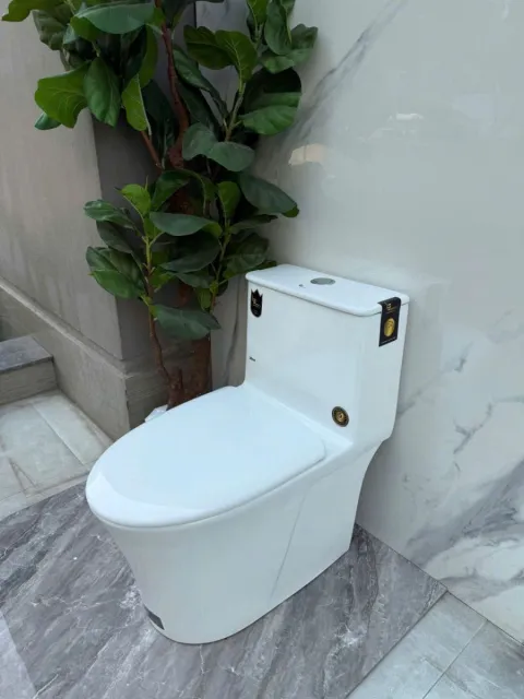 Bồn cầu vệ sinh nhà tắm men sứ Aqua - ceramic - LE0125C
