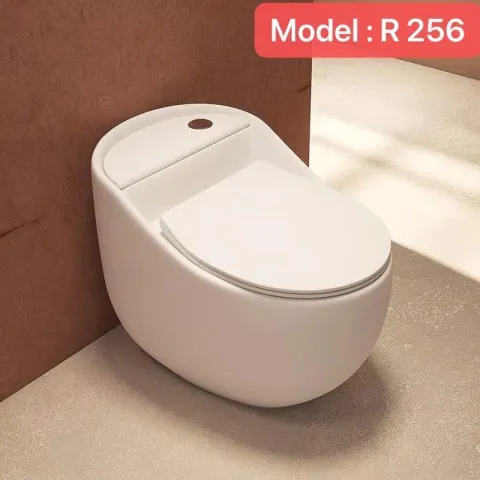 Bồn cầu vệ sinh trứng TB -R256