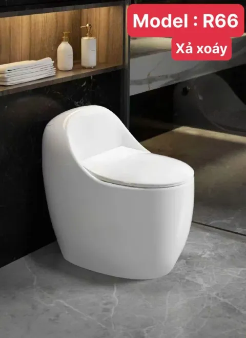 Bồn cầu vệ sinh trứng TB  k66
