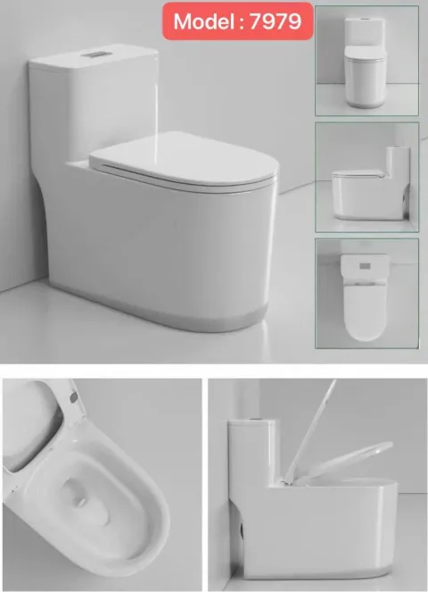 Bồn cầu vệ sinh trứng TB 7979
