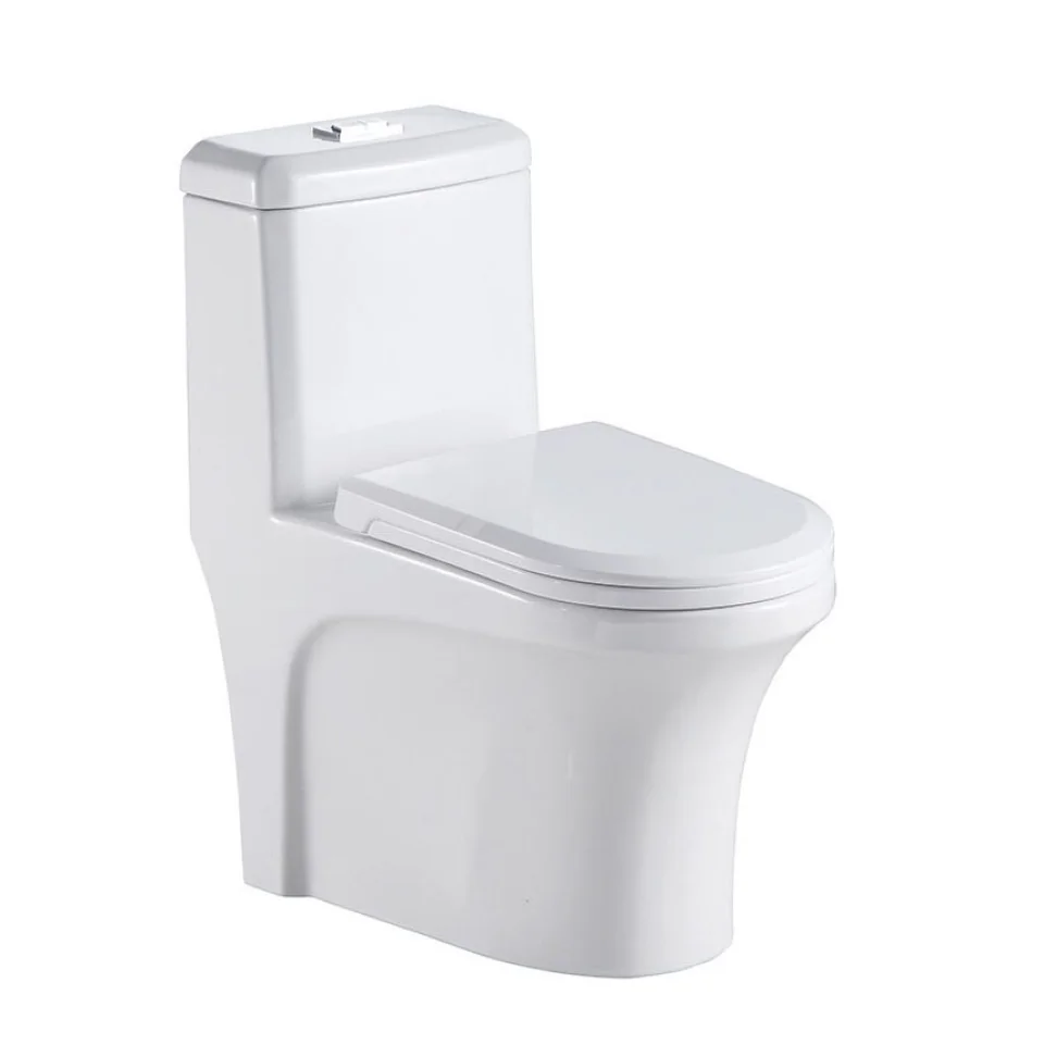 Bồn cầu nhà vệ sinh 2 nút Men sứ T-B007