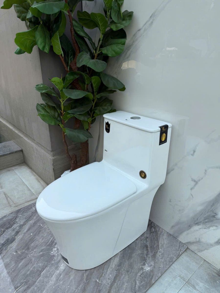 Bồn cầu vệ sinh nhà tắm men sứ Aqua - ceramic - LE0125C
